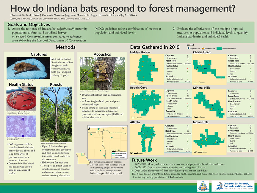 How do Indiana bats respond to forest management.NASBR2019