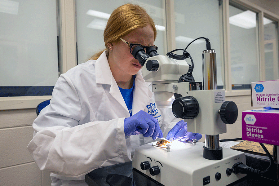 A female student with red hair pulled back in a ponytail is wearing a white lab coat with a blue T-shirt underneath. She is seated and is looking into a microscope while holding tweezers. Glass windows with shades pulled down are visible behind her.