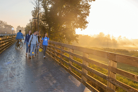 A group of students on a path next to a fence with a field and sunrise in the background